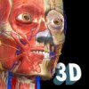 Anatomy Learning – 3D Anatomy Atlas Mod icon