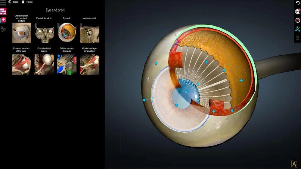 Anatomy Learning – 3D Anatomy Atlas Mod 2.1.386 APK for Android Screenshot 1