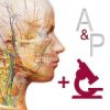 Anatomy & Physiology Mod 6.2.00 APK for Android Icon