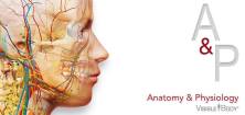Anatomy & Physiology feature