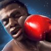 Boxing King 2.9.5002 APK for Android Icon