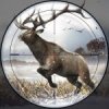Deer Hunting 2 1.1.3 APK for Android Icon