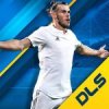 Dream League Soccer 2019 6.14 APK for Android Icon