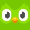 Duolingo 5.140.3 APK for Android Icon
