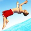 Flip Diving Mod icon