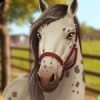 Horse Hotel Mod 1.9.0.161 APK for Android Icon