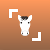 Horse Scanner Mod icon