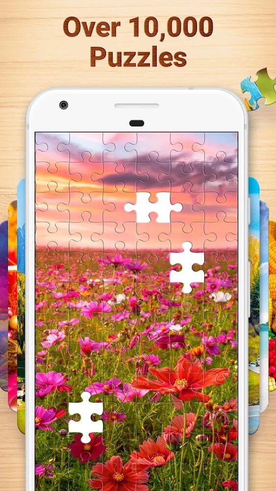 Jigsaw Puzzles 3.5.0 APK feature