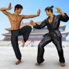 Kung Fu karate Game Offline 3D Mod 1.4 APK for Android Icon