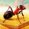 Little Ant Colony 3.4.1 APK for Android Icon