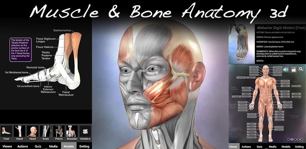 Muscle and Bone Anatomy 3D Mod 1.2.2 APK feature