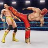 Gym Wrestling 1.4.8 APK for Android Icon