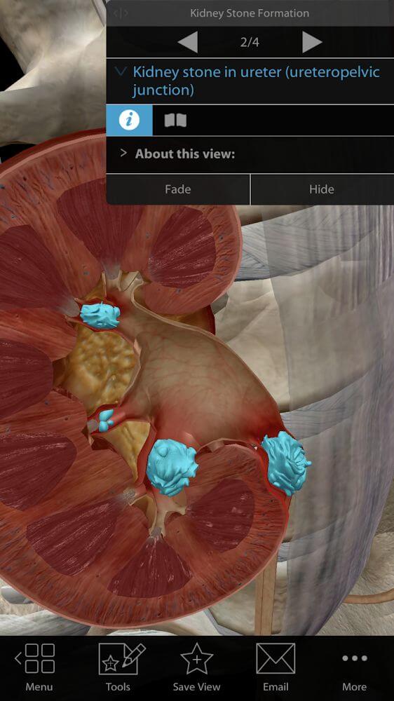 Physiology & Pathology Mod 1.1.06 APK for Android Screenshot 1