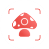 Picture Mushroom 2.9.20 APK for Android Icon