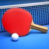 Ping Pong Fury Mod icon