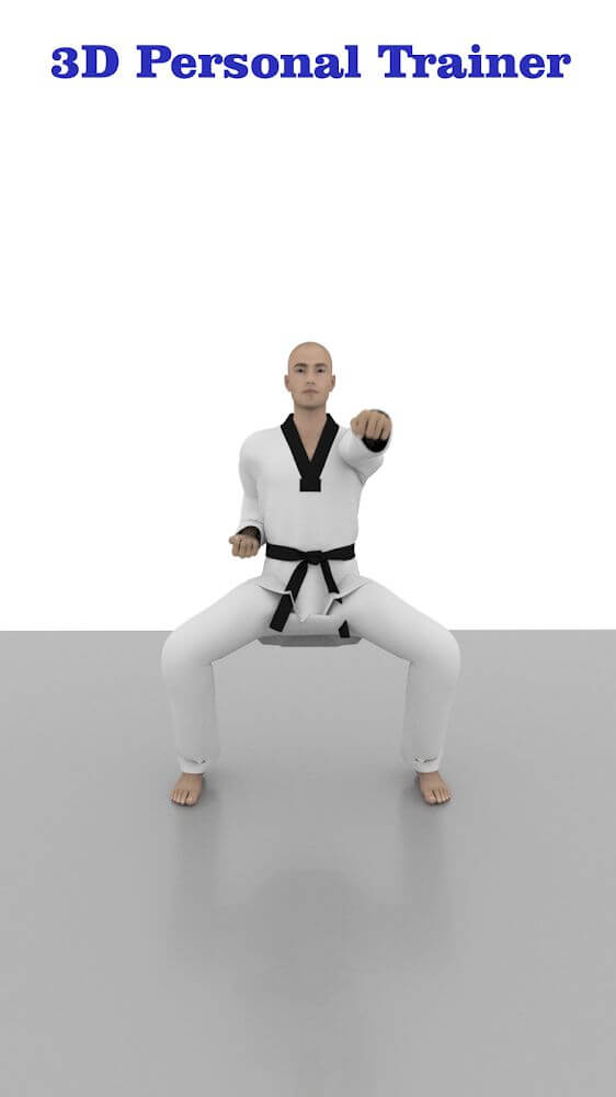 Taekwondo Workout At Home Mod 1.28 APK feature