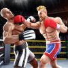 Tag Team Boxing Game Mod icon