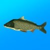 True Fishing Mod 1.16.4.821 APK for Android Icon