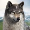 Wolf Game: The Wild Kingdom 1.0.29 APK for Android Icon